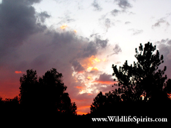 Click Picture to send as an  E-PostCard 65k 550x412
